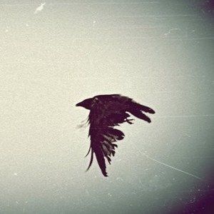 Meet your Posher, Moni